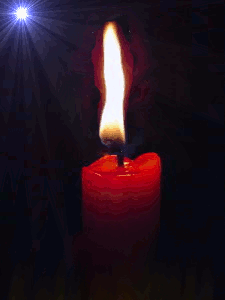 Любовь жива!..