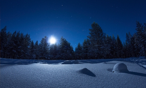 Лютует зима