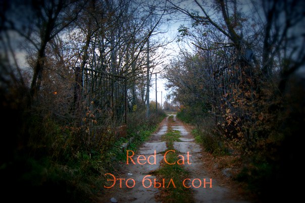 Это был сон