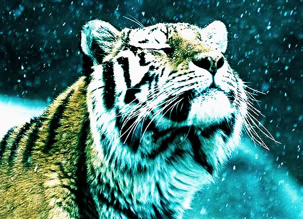 Тебе от меня