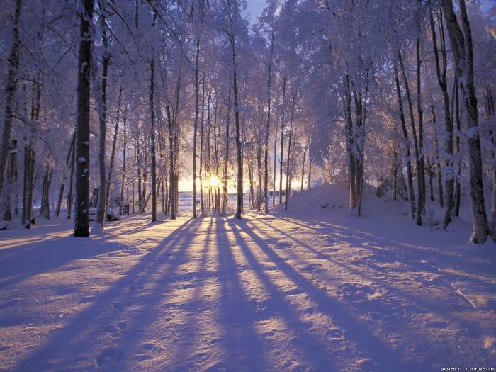 Снежная печаль