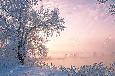 Розовое утро