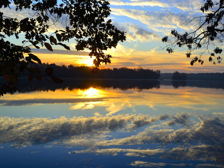 Зачем они ругаются