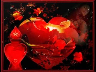 Ландыш, роза, милая ромашка