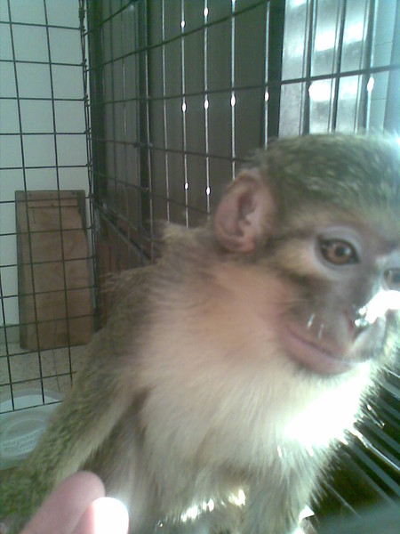 Нету сердца у людей!