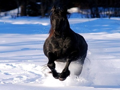 Эй, полегче сынок