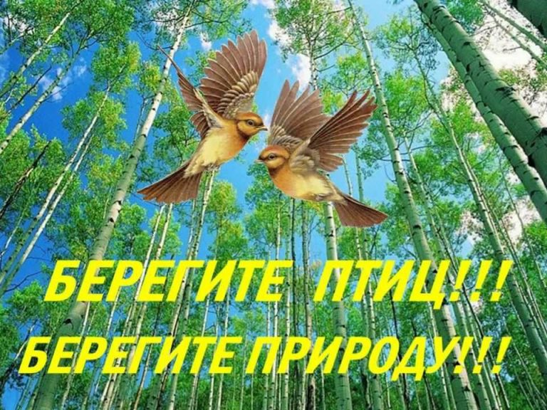 Золотая птичка
