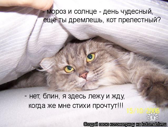 Мороз и солнце