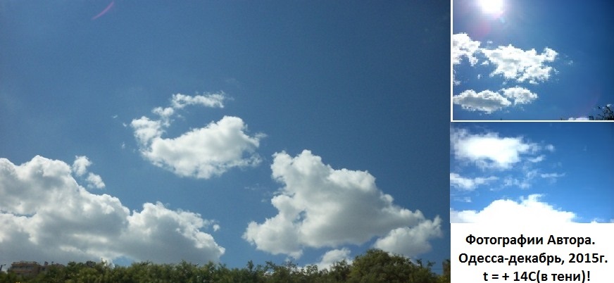 Декабрьский беспредел