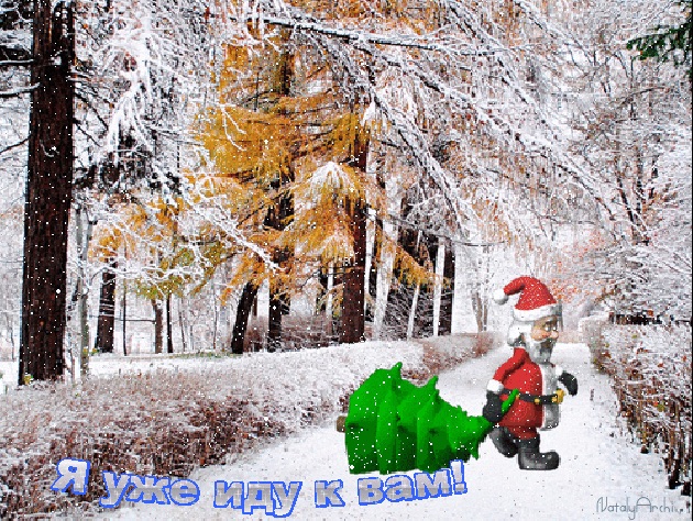 В Новогодний вечер