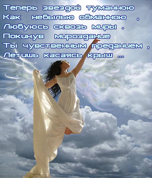 Сон в Новогоднюю ночь...