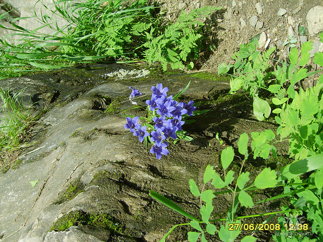 Странно... (Светлана Клёцкина) / Стихи.ру
