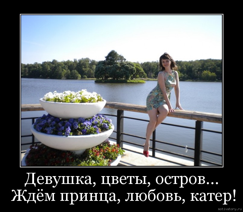 баба ждущая принца. девушка в ожидании принца. девушка ждет принца. жду принца. жду принца приколы.