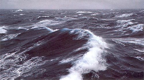 Моё море
