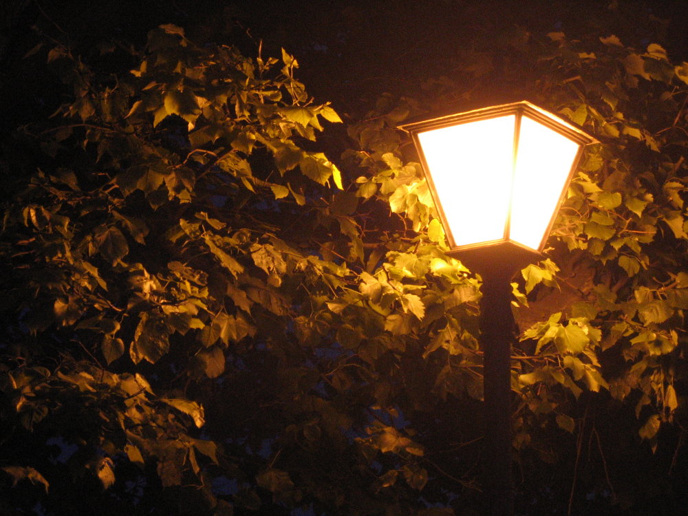Перед лужайкой приветливо освещенный мягким светом фонаря. Уличный фонарь. Фонарь ночью. Уличный фонарь ночью. Ночные фонари.