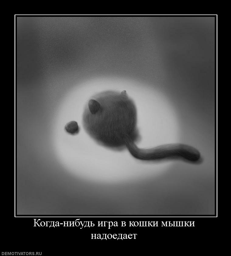 книга готовы играть в кошки мышки. настольная игра "кошки-мышки". настольная игра "кошки-мышки". как играть в кошки мышки. правила игры кошки мышки.