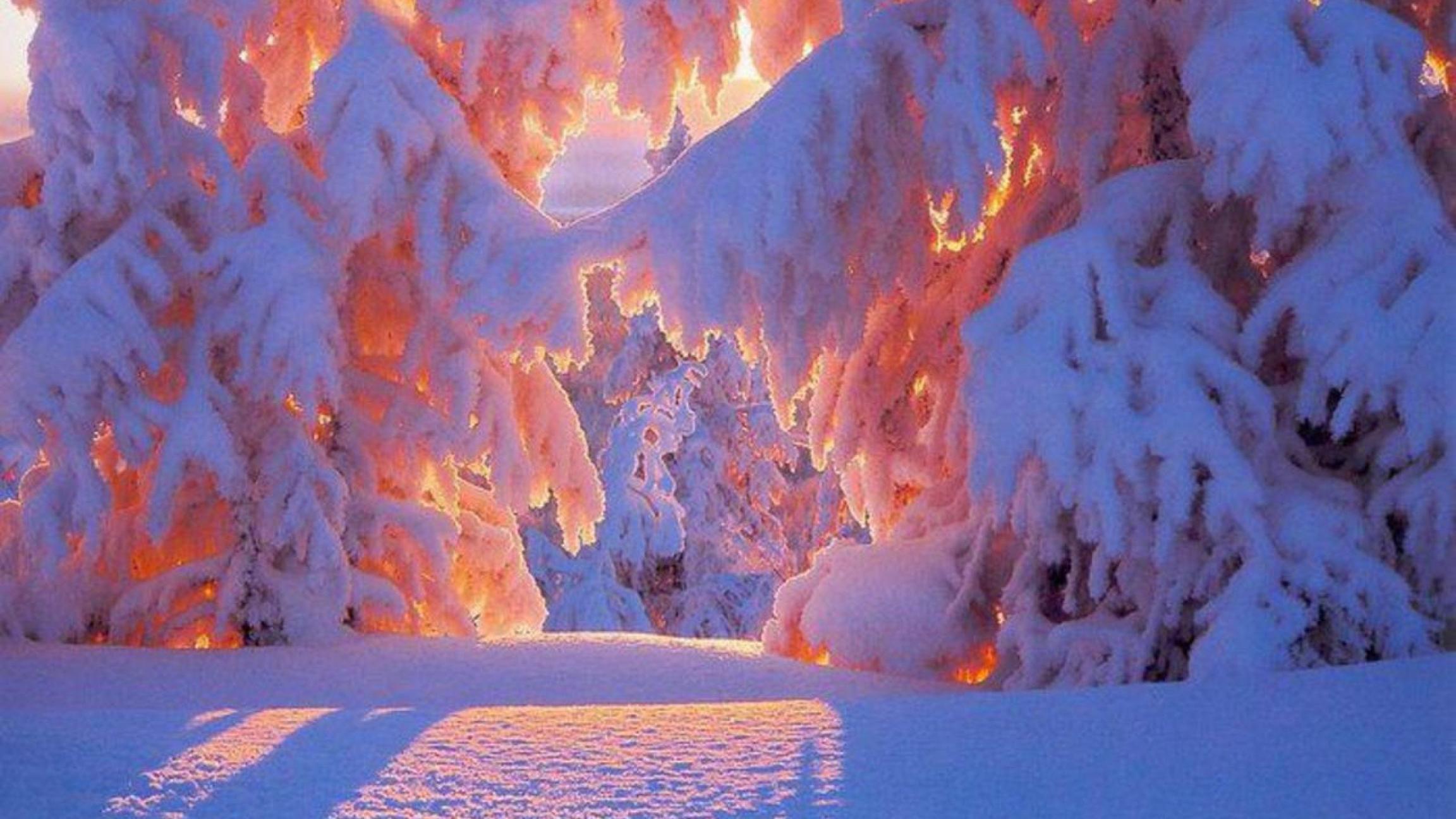 Красивая картинка со снегом. Зимняя природа. Красивая зима. Зима пейзаж. Сказочный зимний лес.
