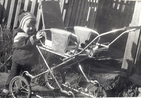 Про котят, младенца Ваську и красивую коляску