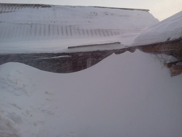 Моя подружка ночка. 31. 12. 2015г