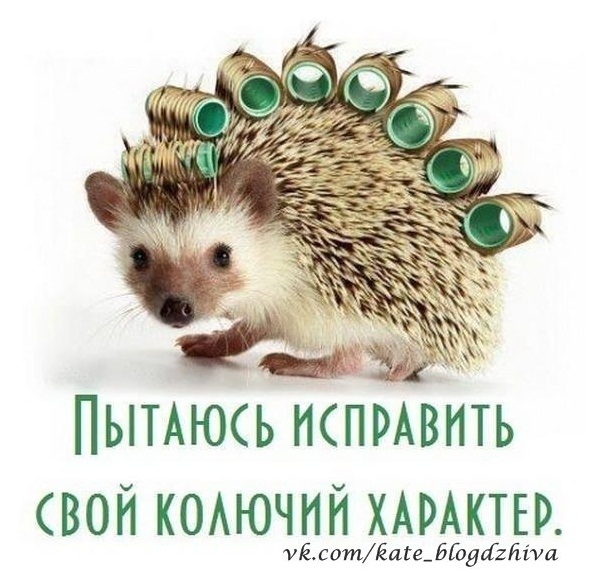 Как поменять характер