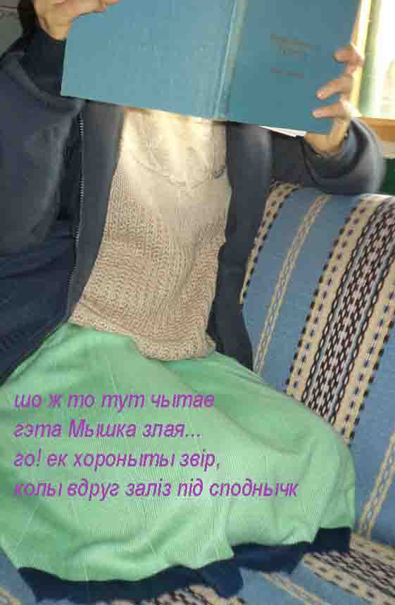 Их исправляют в мышеловке