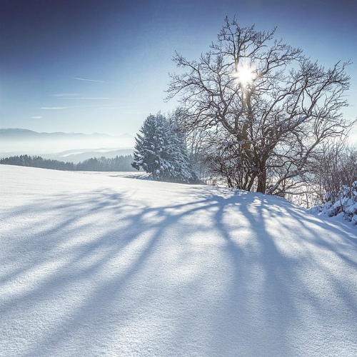 Январский снег