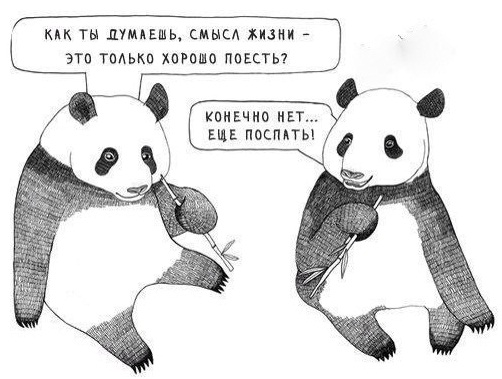 В чем смысл жизни?