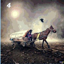 Немигающим глазом кобры