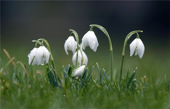 Слышишь? Весна!