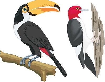 Частица эль