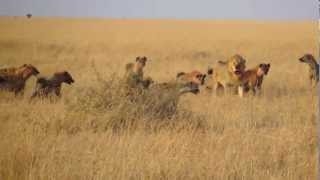 Смена персонажей на литературном горизонте