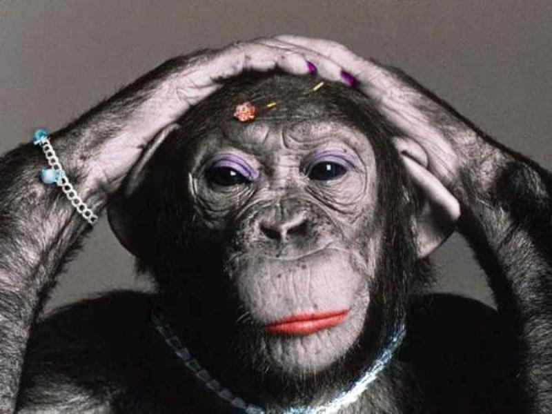 Год Обезьяны