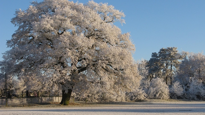 Снег холодный, как моя судьба