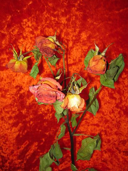 Любить и верить