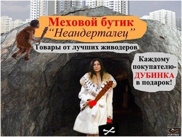 Товары от лучших живодеров