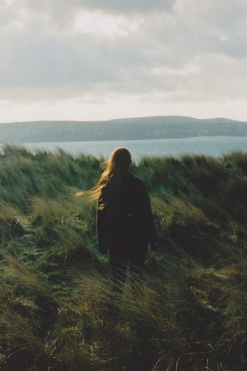 От лета до лета