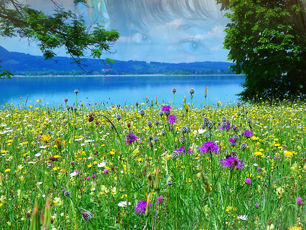 Я тебе стихов охапку...