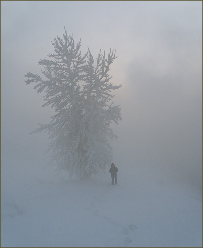 Не сильный но холодный. Якутск холод туман. Сильный туман зимой. Морозный туман в Якутске. Туман в Якутии зимой.
