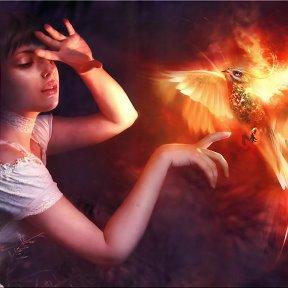 Птица феникс