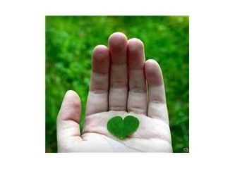 Держа листок зелёный в кулаке