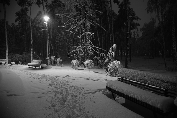 Ты мне снилась этой ночью