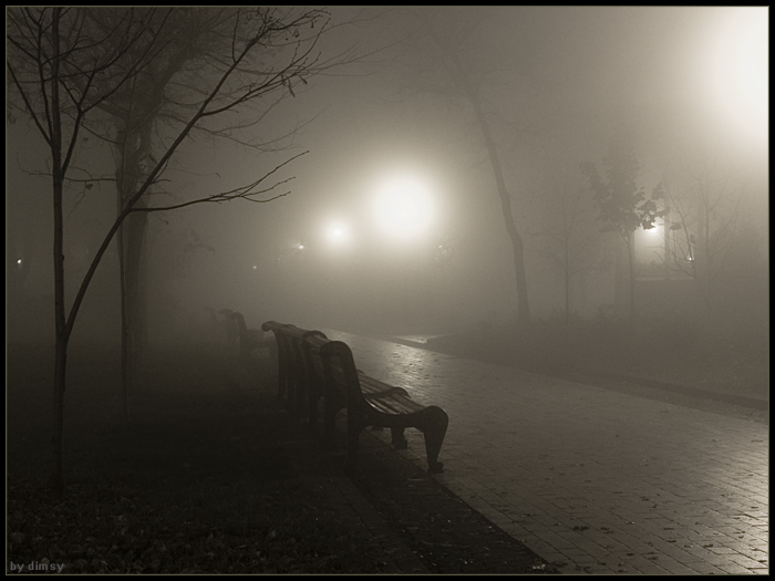 Парк в январе