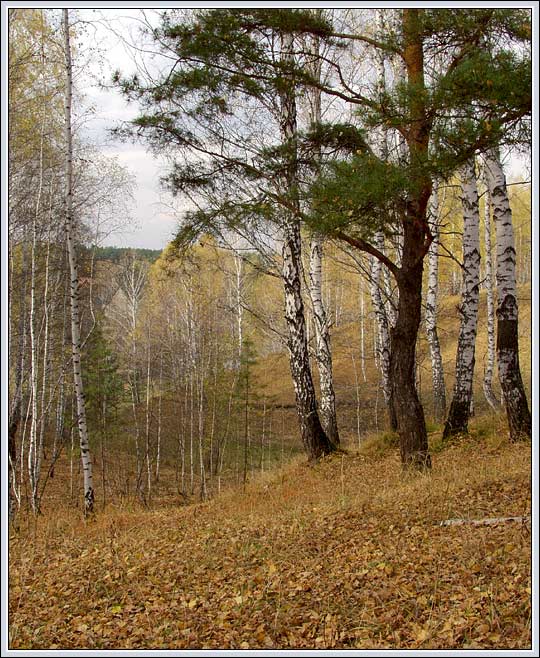 Ненастье как несчастье