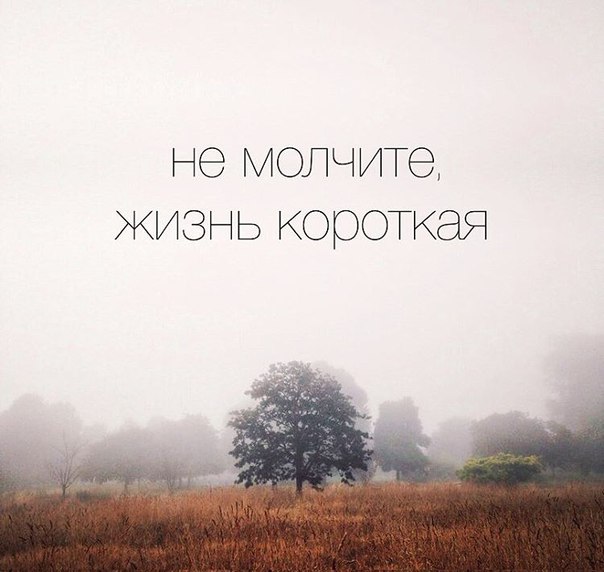 осколки памяти