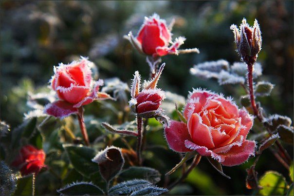 Песочные часы осени