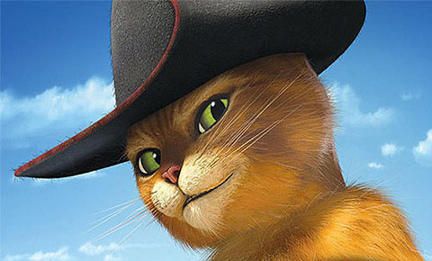 Вечерние мотивы