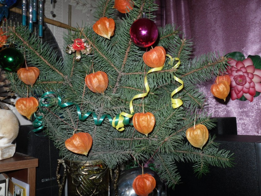 Со старым Новым годом!