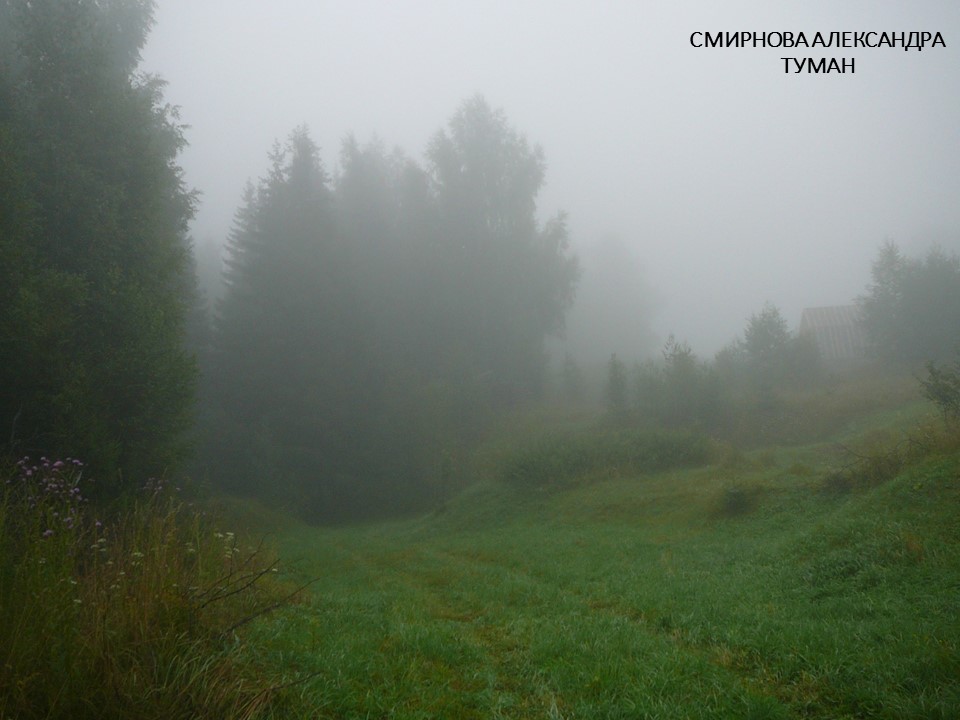 Застыли белые туманы