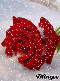 Прими мою любовь