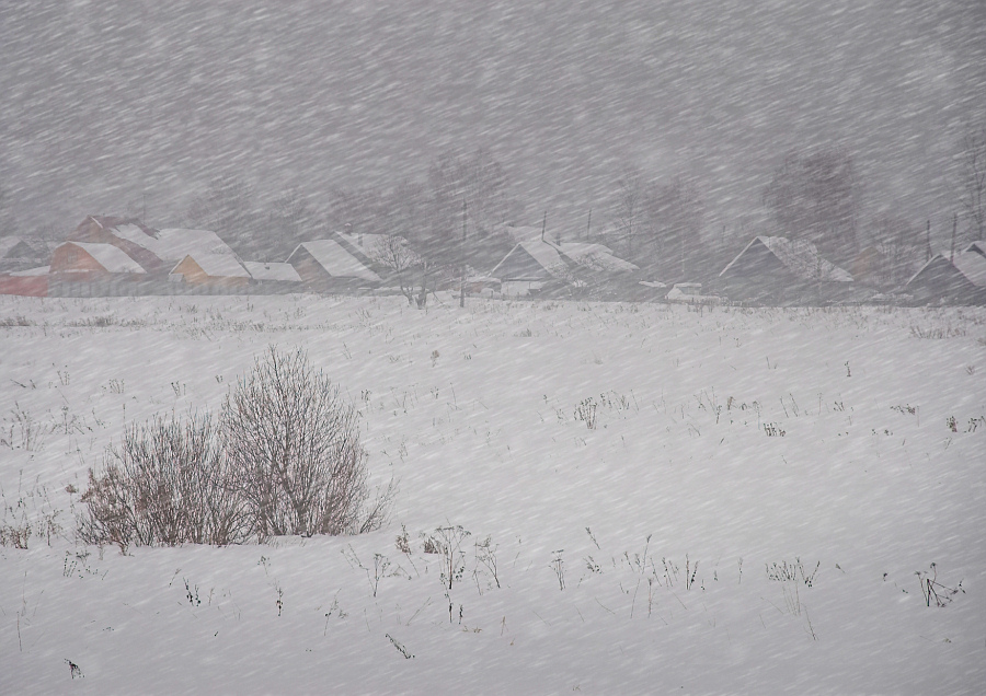Под пургой